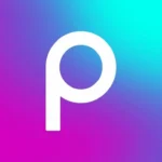 Picsart logo used by a freelance digital marketer in Palakkad for content creation